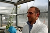 Ph.D. Dott. Damiano Coppolecchia