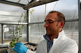 Damiano Coppolecchia
